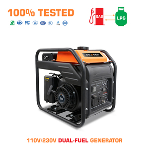 Generador de Gasolina de 4KW con Marco Abierto, Generador de Combustible Dual CNG/LPG de 3.5kW 110V 230V, Energía Portátil de Emergencia para el Hogar y el Sitio de Trabajo - Product Image 1