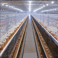 Poulailler pour 90 à 5000 poulets, cage à poulets de type H, équipement avicole, élevage de poulets de chair, cages à poulets