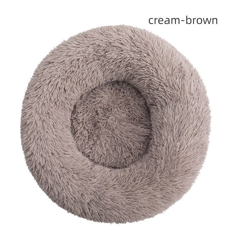 brun crème