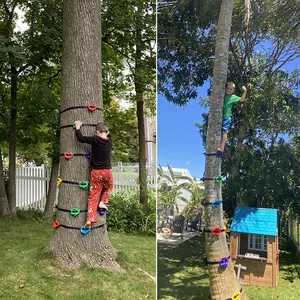 Kids Outdoor Game Rock Climbing Stones Climbing Wall Holds
