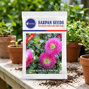 SARPAN HYBRID ASTER-AST-5 Semi di Aster Ibrido POM POM 10g Fiore di Aster Ibrido Rosa - Product Image 3