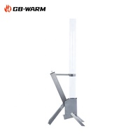 Chauffe-terrasse à granulés de bois sans fumée en acier inoxydable de haute qualité avec tube en verre, design moderne