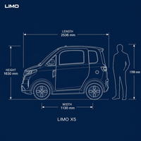Nouvelle mini berline électrique 3 places, scooter de mobilité fermé pour adultes, voiture électrique à 4 roues avec certificat EEC COC