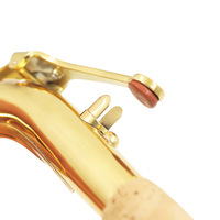 Replacement Brass Bend Neck for Alto Saxophone Woodwind Instrument Accessory