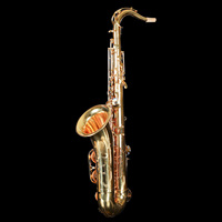 WIDEN Professional Performance Brass Gold Lacquer Tone School Beginner Tenor Saxophone Wind Instrument