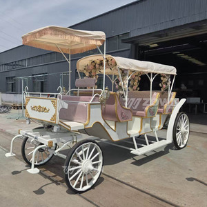 Charrette Électrique de Tourisme Style Vintage ZOWN – Garantie 2 Ans, Taille/Poids Personnalisables pour Visites de Villes Anciennes - Product Image 4