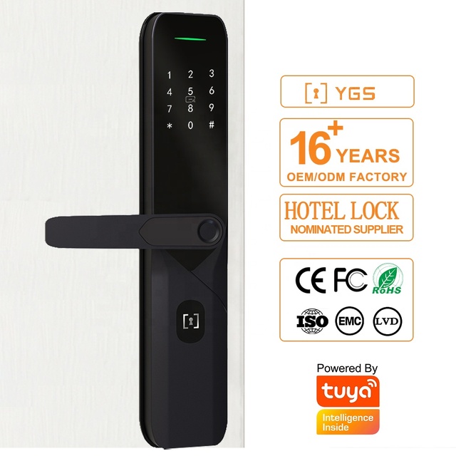 Ansi Ttlock Tuya Wifi Smart Lock App Slim Smart Door Locks Fingerprint Card Key Smart Door Lock for Home Hotel Apartment
