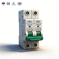 Disjoncteur de protection contre les surtensions 1-4P 40-80kA T2 SCB 230/400VAC SPD certifié CE