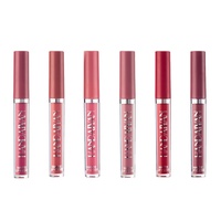 Ensemble de gloss à lèvres en 6 couleurs, maquillage, cosmétiques véganes, gloss à lèvres liquide longue durée, imperméable, ensemble de rouge à lèvres liquide