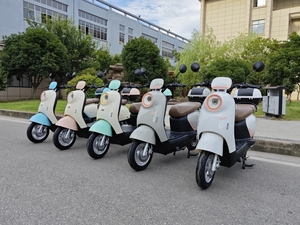 <strong>Electric</strong> Adult <strong>Scooter</strong> Motorcycle <strong>Electric</strong> <strong>Scooter</strong> <strong>Price</strong> <strong>India</strong> with <strong>Price</strong> the <strong>Best</strong> <strong>Electric</strong> Mobility 800w 1000W - Product Image 5