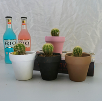 Pots d'argile en terre cuite de couleur créative, Pots d'argile succulente, jardinière de Cactus en céramique, jardinières mates pour cadeaux, Promotion de la maison