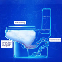 Poudre Nettoyante Moussante Désinfectante pour Toilettes, Détartrant Urinaire Anti-Calcaire à Base d'Acide Xanthoxalique