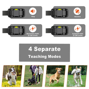 Profession elles wiederauf lad bares wasserdichtes Remote-Hunde trainings halsband mit Farbbild schirm mit einer Reichweite von 1600 Metern - Product Image 4