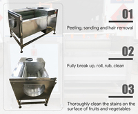 Borstelrolwasmachine voor zeevruchten: schelpjes, garnalen, oesters, aardappel, gember, komkommer, bamboescheuten, yam, ananas