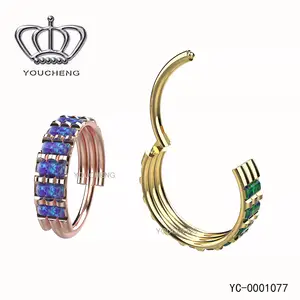 ASTM F136 Pengaturan Titanium Segmen Berengsel Kotak Cincin Clicker Hoop Cincin Tindik Perhiasan