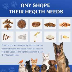 OEM ODM Herstellung Professionelles Haustier-Zahnpulver-Nahrungsergänzungsmittel Maßgeschneiderte Formel Organisches Probiotisches Hunde-Zahnreinigungspulver - Product Image 4