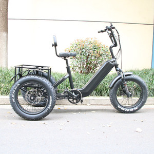 48V Lunbund 20 pouces tricycle vélos 30-50 Km/h vélo à trois roues vélo avec une <span class=keywords><strong>remorque</strong></span> cargo <span class=keywords><strong>pour</strong></span> adultes - Product Image 2
