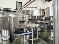 Línea de Producción de Agua Mineral Automática Llave en Mano, Máquina Embotelladora de Agua Potable Pura, Línea de Llenado de Botellas PET