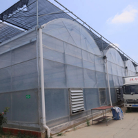 Serre à structure filmique multi-travées ZHUOTAI, vente directe usine, avec un taux d'utilisation du terrain élevé