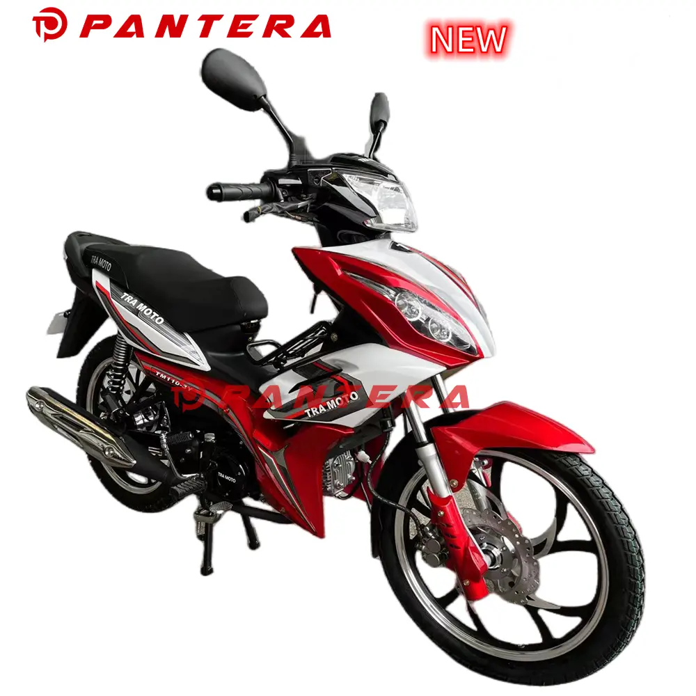 2023 110cc New Motor De Moto Baike of Motorcycle