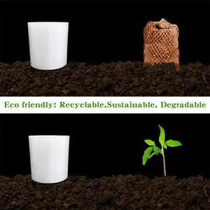 生分解性環境にやさしいリサイクル可能な物流包装保護堆肥化可能なラップギフトクッションギフトハニカムクラフト紙