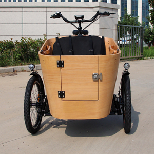 Nouveau Vélo Cargo Urbain Personnalisable avec Système de Capteur de Couple à Entraînement par Courroie, Moteur 250W 500W, Vélo Cargo Électrique Suédois pour Enfants et Animaux - Product Image 1
