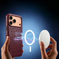Étui de téléphone en cuir motif autruche exotique de haute qualité, étui magnétique pour iPhone 17 Pro Max, étui en cuir pour 18 Pro