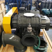 Souffleur Roots à déplacement positif pour le transport de gaz dans les fours de fusion, le transfert d'air et de matériaux dans le processus de fusion des métaux