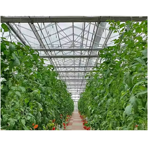 ถุงปุ๋ยปุ๋ยหมักอินทรีย์25กก. พร้อมสารชีวภาพช่วยในการกักเก็บความชื้นในดินได้ดีขึ้น - Product Image 3