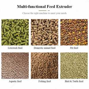 Machine extrudeuse de granulés flottants pour aliments pour animaux (chats, poissons, chiens) – Prix compétitif - Product Image 6