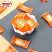 HALAL gecertificeerde CandyCandy zoete zeezout mango smaak frisse adem munt harde snoepjes