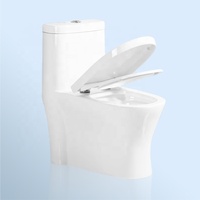 Cuvette de toilette moderne en porcelaine à double chasse pour hôtels Structure monobloc avec siphon en S Drainage WC Toilette