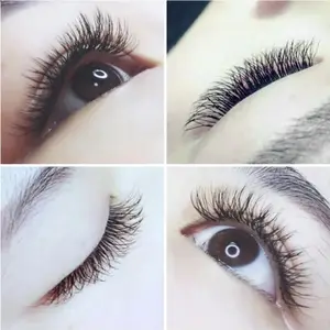 Volume Eyelash W V YY Shape Extension False Eyelashes 3D 4D 5D 6D W Lashes Private Label Mink Individual Eyelashes Extensions