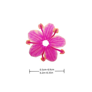 MAFANAILS 20/100 pièces, mélange de couleurs, fleurs séchées 3D naturelles, autocollants pour nail art DIY, non toxiques pour la manucure - Product Image 5