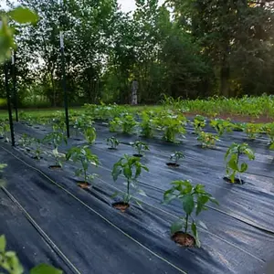 Barrera de hierba de alta resistencia, tela de paisaje para jardines al aire libre