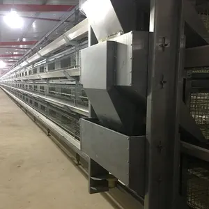 Broiler Tavuk için tavuk Kafesleri Galvanizli Tel Malzeme Kullanın