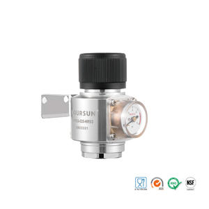 Mini Soda akışı/taslak bira/ev demlemek <span class=keywords><strong>CO2</strong></span> regülatörü kahve makinesi veya soda makinesi - Product Image 5