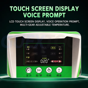 Limpiador a Vapor Portátil de Alta Presión con Ozono, Máquina de Limpieza de Acero Inoxidable, Soplador de Aire para Uso Doméstico y Comercial - Product Image 2