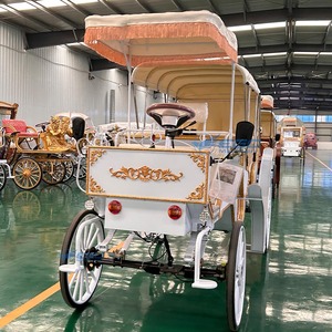 Chariot de Mariage Royal Blanc Élégant et Romantique, Véhicule Électrique Personnalisé pour Visites Touristiques, Calèche à Chevaux - Product Image 1