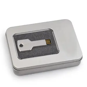 Clé Usb en forme de clé personnalisé, 2GB, 4GB, 8GB, forme de clé, pour voiture, cadeau, livraison gratuite
