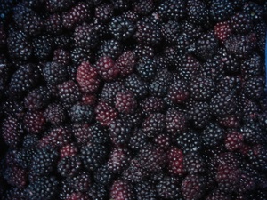 Produk Buah Beku IQF Grosir, Harga Buah Blackberry Beku - Product Image 3