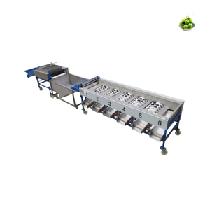 Fruit Sorting Machine Castanhas apple Fruit Sorting Machine Small Green Tangerine Grading Machine - Product Image 1