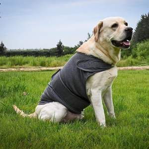 Vêtement <span class=keywords><strong>pour</strong></span> animaux de compagnie en fibre acrylique écologique confortable, gilet thermique d'hiver <span class=keywords><strong>pour</strong></span> chiens, classique, uni, anti-anxiété, respirant - Product Image 1