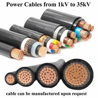 Nyy Swa Niederspannungs-/Mittelspannungskabel 0,6/1kV 6/10kV 26/35kV Aluminiumleiter Stahlbandarmiertes Kabel Yvv PVC-Stromkabel