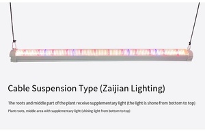 Nuovo 120W 4ft IP65 dimmerabile baldacchino coltiva luci per agricoltura Indoor blu spettro fiore interpiantando singolo Bar per ombroso - Product Image 4