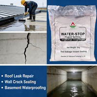 Ciment à prise rapide pour réparation de fuites d'eau, résistant à l'humidité, non toxique, forte résistance à l'eau, pour carrelage extérieur et sous-sol