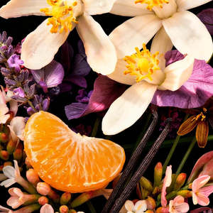 Divain 602 For Her Profumo Orientale Intenso da Donna Formato da Viaggio Autunnale - Product Image 2