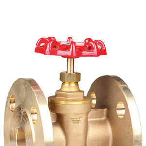 YomteY Flanged Gate Valve Brass Body High Temperature Steam Valve Water Conservancy Manual Operation - Product Image 2