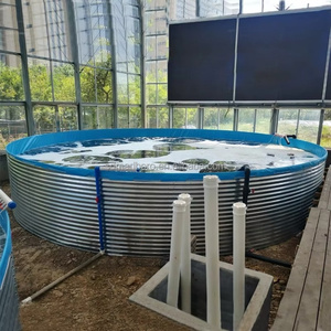 Système d'aquaculture <span class=keywords><strong>RAS</strong></span> pour l'élevage de crevettes, bassin à poissons de taille personnalisable - Product Image 3