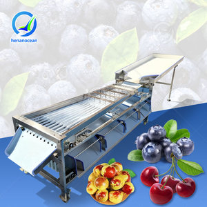 פירות מיון מכונת פירות מכונה כיול אלקטרוני פירות משקל לדירוג מיון מכונת - Product Image 1